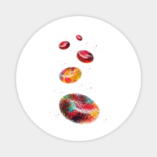 Red Blood Cells Magnet